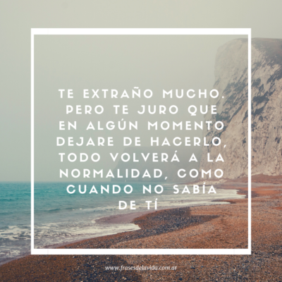 Te extraño mucho. Pero te juro que en algún momento dejare de hacerlo, todo volverá a la normalidad, como cuando no sabía de ti