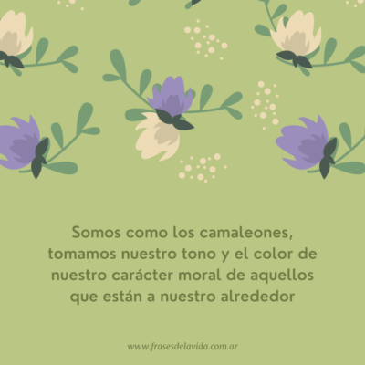 Somos como los camaleones, tomamos nuestro tono y el color de nuestro carácter moral de aquellos que están a nuestro alrededor J. Locke