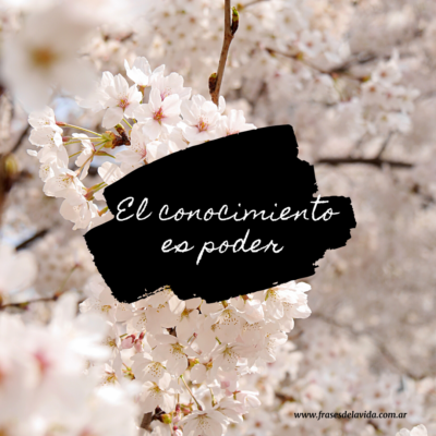 El conocimiento es poder
