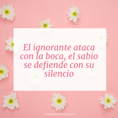 El ignorante ataca con la boca, el sabio se defiende con su silencio