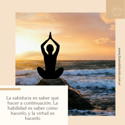 La sabiduría es saber qué hacer a continuación. La habilidad es saber cómo hacerlo, y la virtud es hacerlo