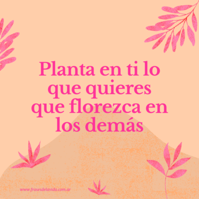 Planta en ti lo que quieres que florezca en los demás