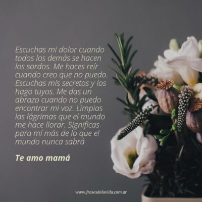 Escuchas mi dolor cuando todos los demás se hacen los sordos. Me haces reír cuando creo que no puedo. Escuchas mis secretos y los hago tuyos. Me das un abrazo cuando no puedo encontrar mi voz. Limpias las lágrimas que el mundo me hace llorar. Significas para mí más de lo que el mundo nunca sabrá 