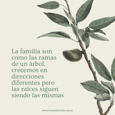 La familia como las ramas de un árbol, crecemos en direcciones diferentes pero las raíces siguen siendo las mismas.
