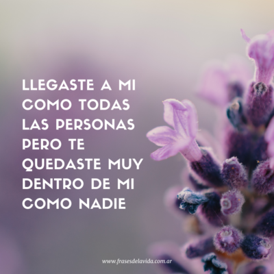 Llegaste a mi como todas las personas pero te quedaste muy dentro de mi como nadie