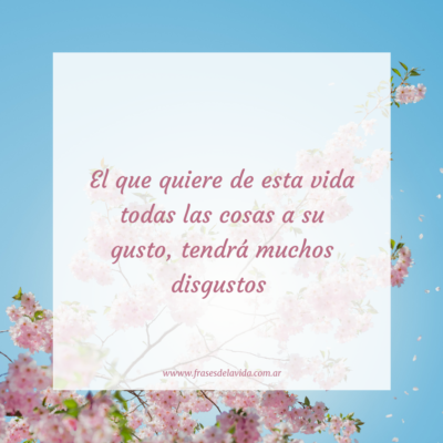 El que quiere de esta vida todas las cosas a su gusto, tendrá muchos disgustos