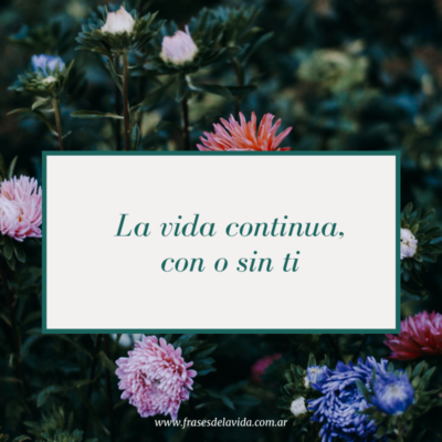 La vida continua, con o sin ti