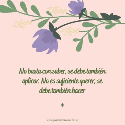 No basta con saber, se debe también aplicar. No es suficiente querer, se debe también hacer