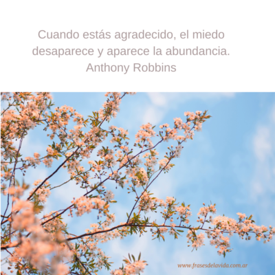 Cuando estás agradecido, el miedo desaparece y aparece la abundancia.