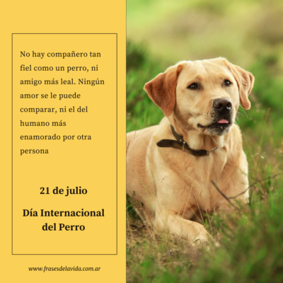 No hay compañero tan fiel como un perro, ni amigo más leal. Ningún amor se le puede comparar, ni el del humano más enamorado por otra persona.
