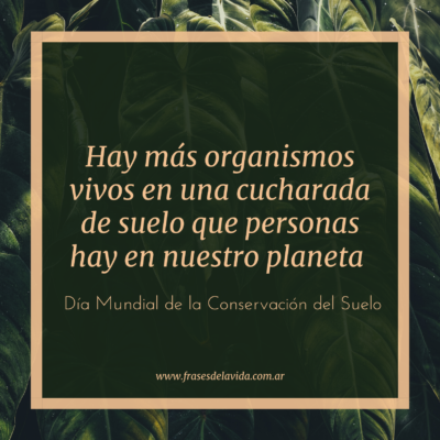 Hay más organismos vivos en una cucharada de suelo que personas hay en nuestro planeta