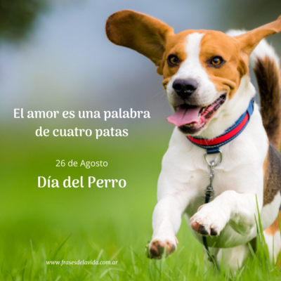 El amor es una palabra de cuatro patas