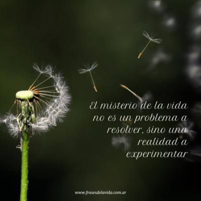 El misterio de la vida no es un problema a resolver, sino una realidad a experimentar