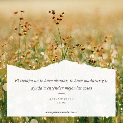 El tiempo no te hace olvidar, te hace madurar y te ayuda a entender mejor las cosas