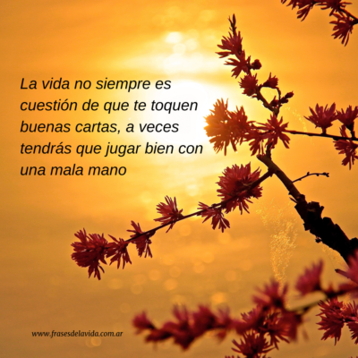 La vida no siempre es cuestión de que te toquen buenas cartas, a veces tendrás que jugar bien con una mala mano