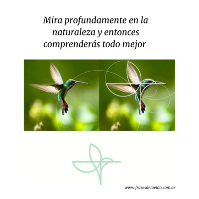 Mira profundamente en la naturaleza y entonces comprenderás todo mejor