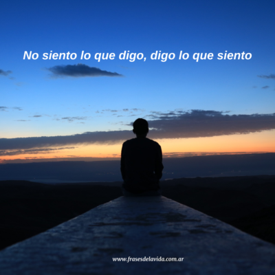 No siento lo que digo, digo lo que siento