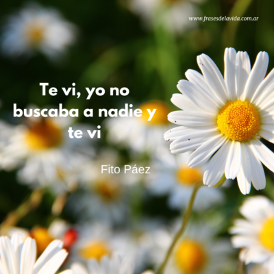 Te vi, yo no buscaba a nadie y te vi