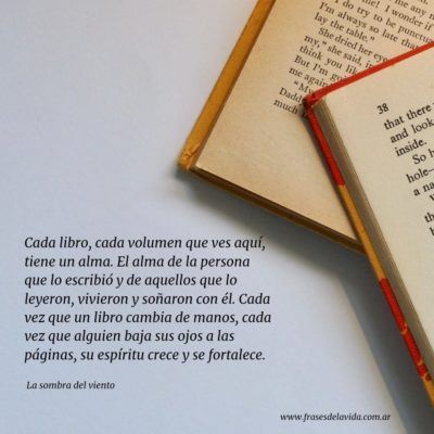 Cada libro, cada volumen que ves aquí, tiene un alma. El alma de la persona que lo escribió y de aquellos que lo leyeron, vivieron y soñaron con él. Cada vez que un libro cambia de manos, cada vez que alguien baja sus ojos a las páginas, su espíritu crece y se fortalece.