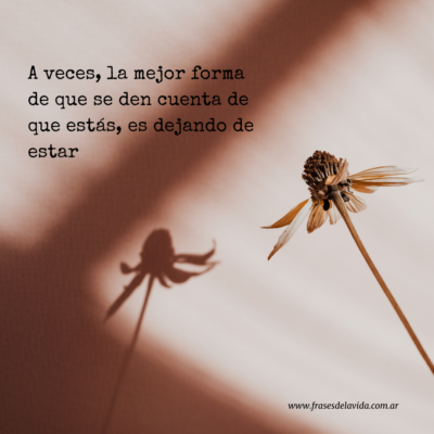 A veces, la mejor forma de que se den cuenta de que estás, es dejando de estar.